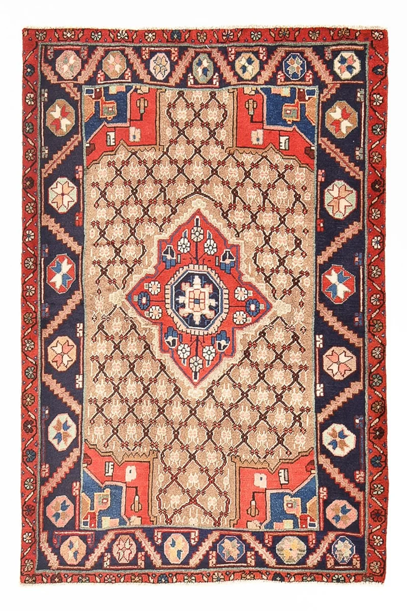 Kolyai Teppich 97x146cm - Perserteppich - mehrfarbig
