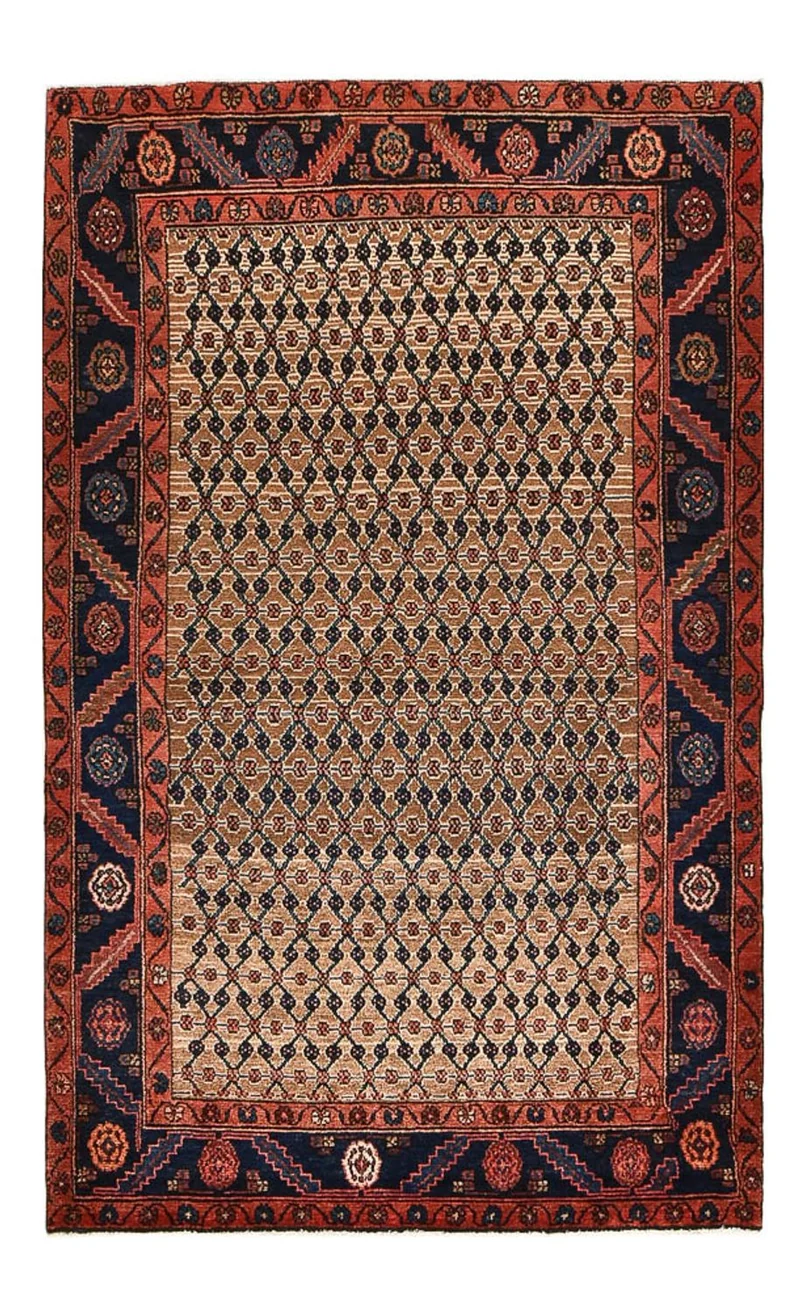 Kolyai Teppich 123x198cm - Perserteppich - mehrfarbig