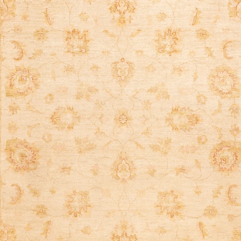 Ziegler Teppich - 253 x 350 cm - beige