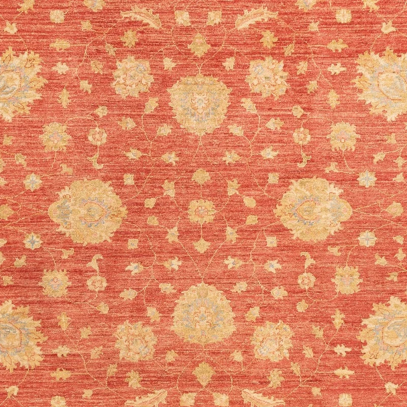 Ziegler Teppich - 257 x 344 cm - rot