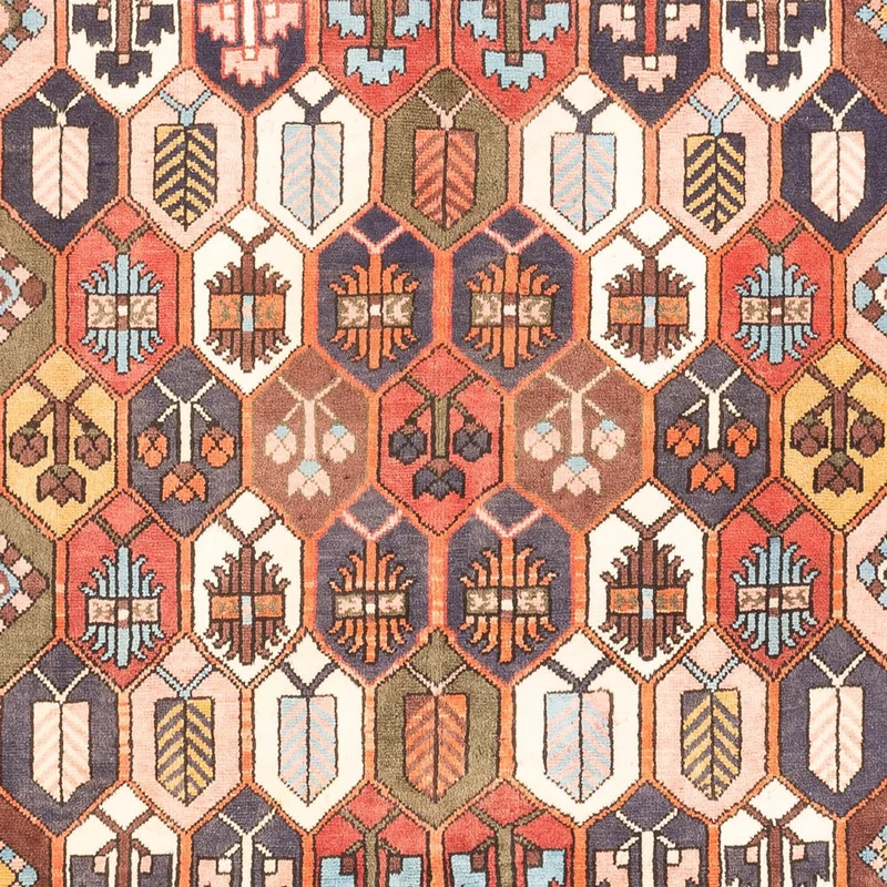 Bachtiar Teppich 215x305cm - Perserteppich - mehrfarbig