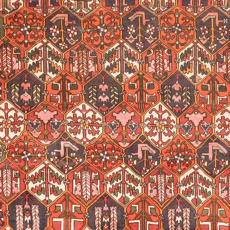 Bachtiar Teppich 210x310cm - Perserteppich - terrakotta