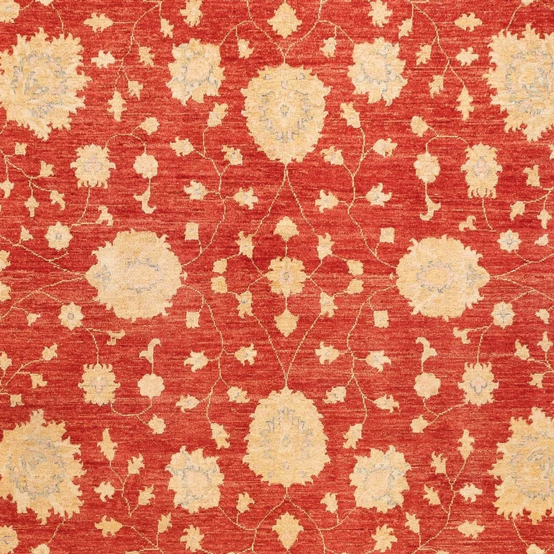 Ziegler Teppich - 254 x 355 cm - rot