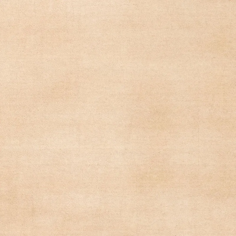 Gabbeh Teppich Indus 80x300cm - Wollteppich - beige