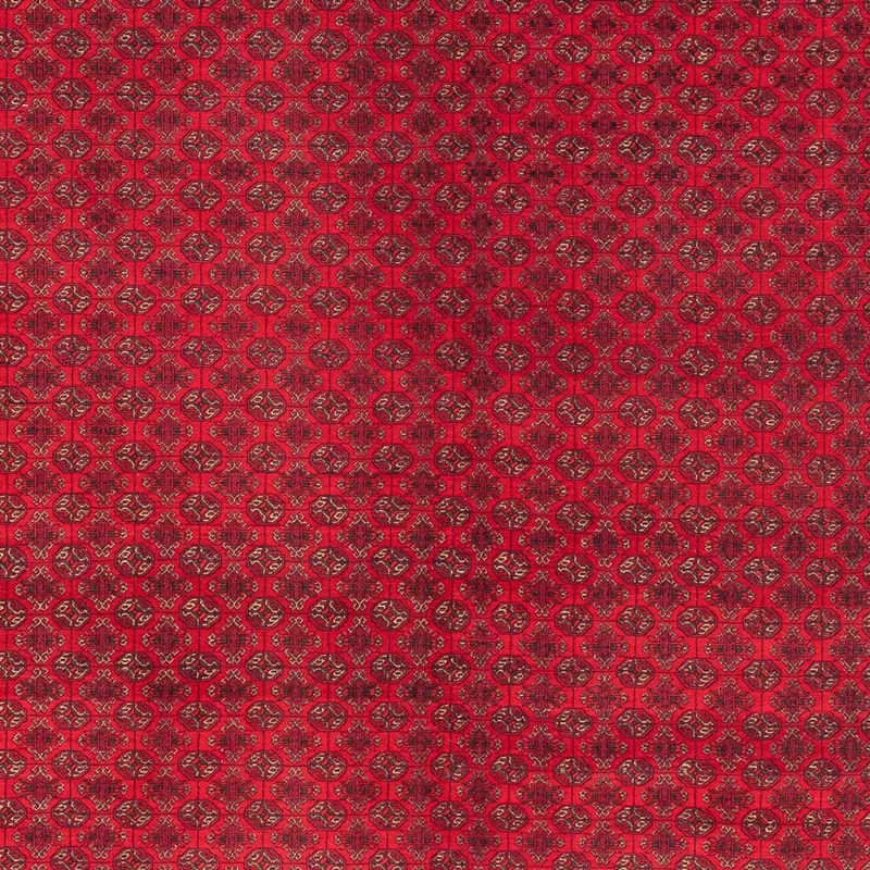 Afghan Teppich 294x404cm - Orientteppich - rot