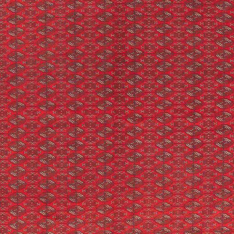 Afghan Teppich 305x400cm - Orientteppich - rot