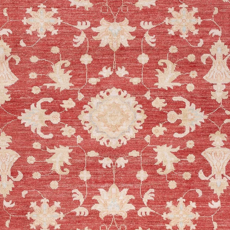 Ziegler Teppich - 172 x 227 cm - rot