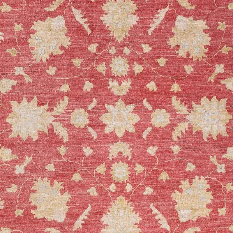 Ziegler Teppich 169x234cm - Orientteppich - rot