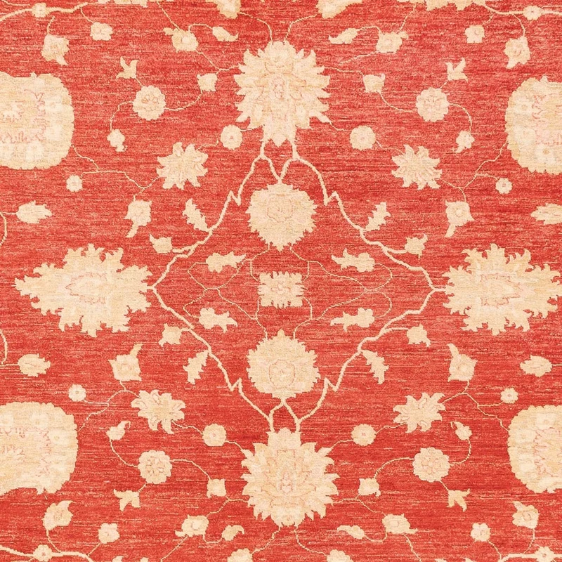 Ziegler Teppich - 274 x 373 cm - rot