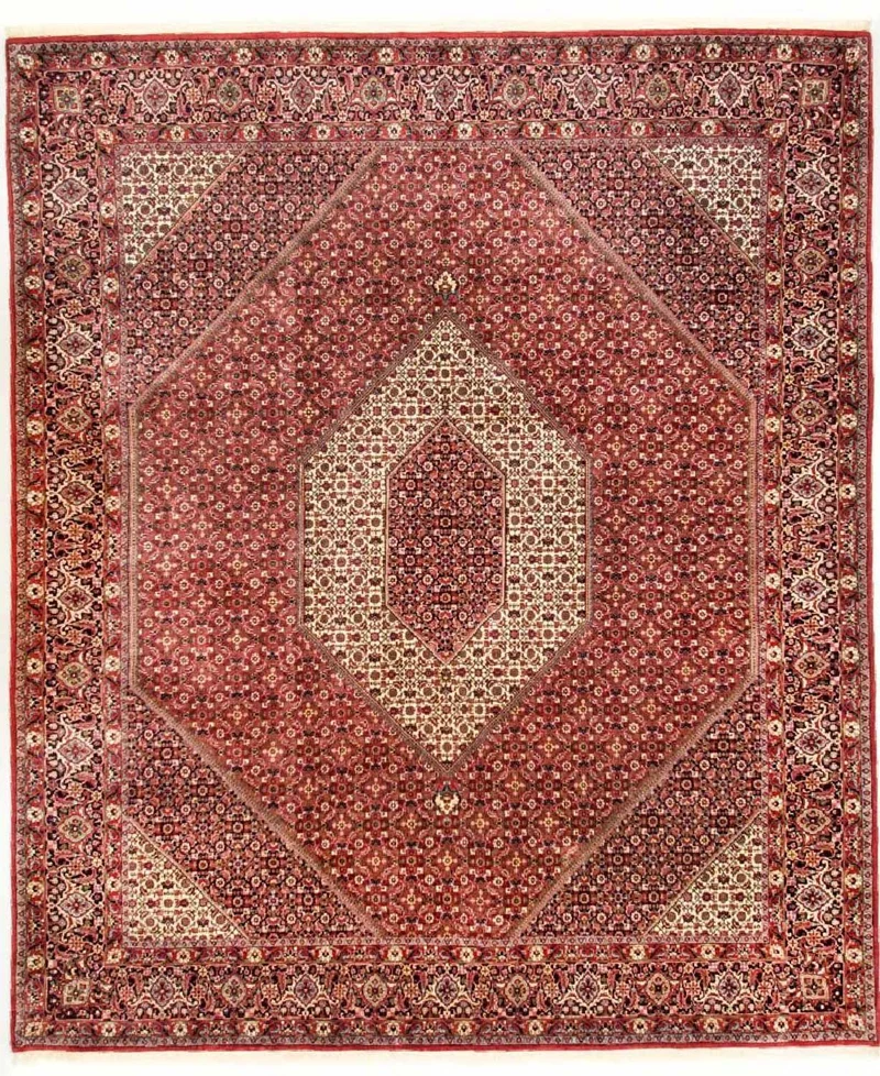 Bidjar - Takab Teppich 250x310cm - Perserteppich - beige