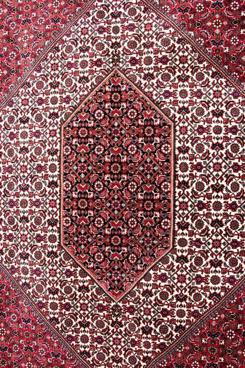 Bidjar - Takab Teppich 250x310cm - Perserteppich - beige