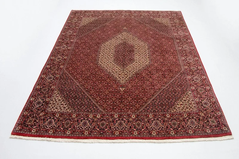 Bidjar - Takab Teppich 250x310cm - Perserteppich - beige