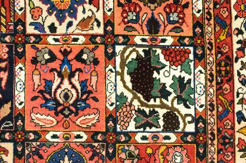 Bachtiar Teppich 207x315cm - Perserteppich - braun