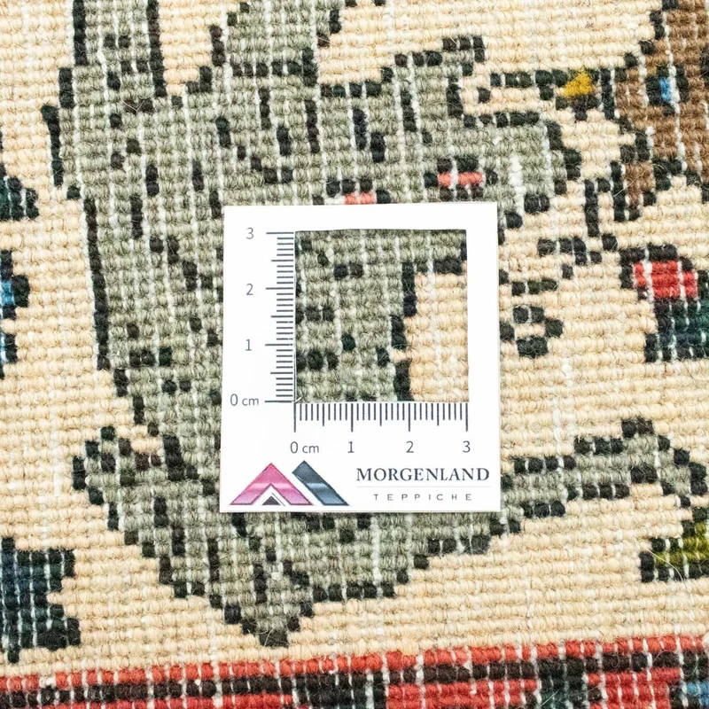 Bachtiar Teppich 207x315cm - Perserteppich - braun