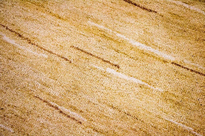 Gabbeh Teppich Indus 150x242cm - Wollteppich - mehrfarbig