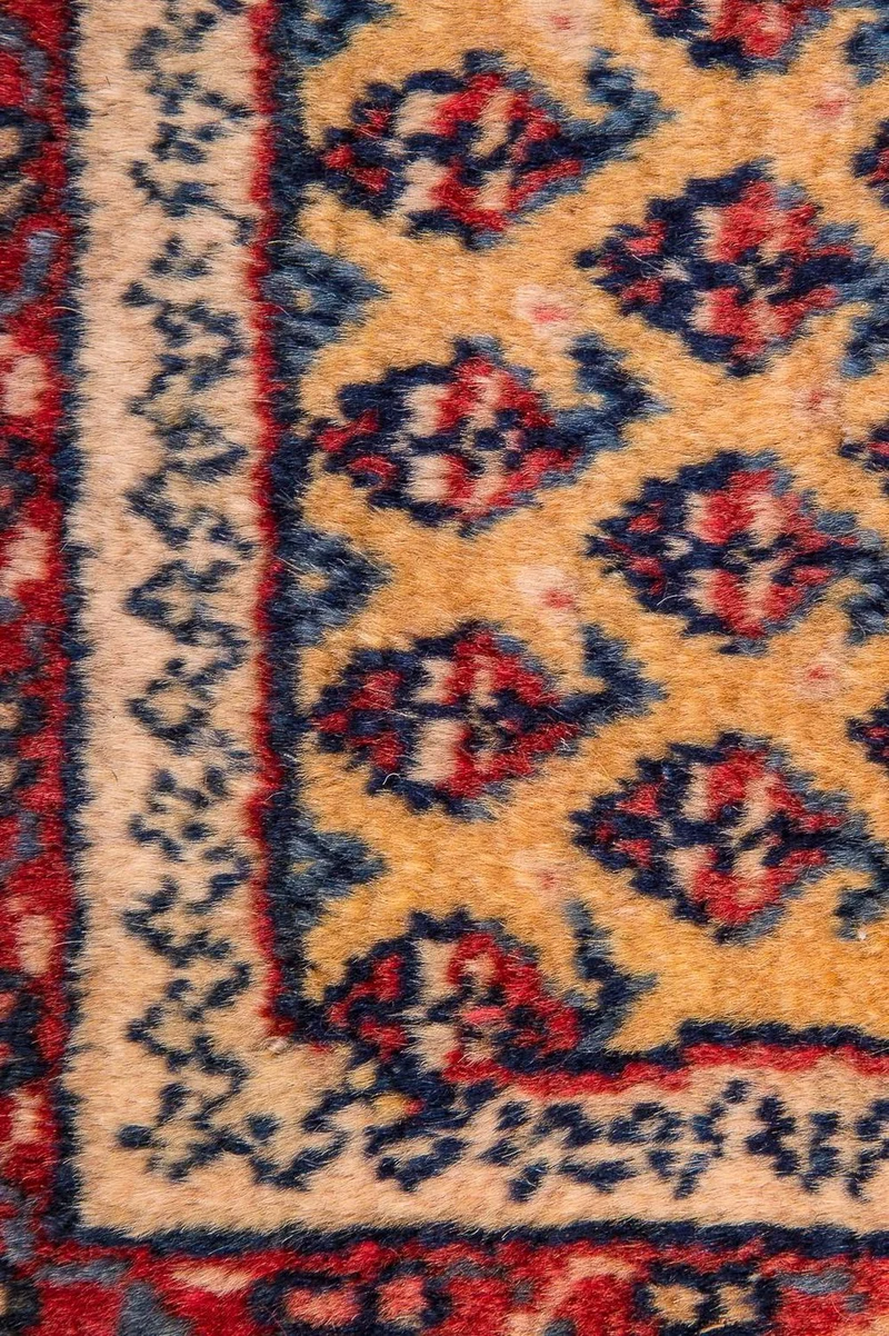 Kolyai Teppich 238x288cm - Perserteppich - beige